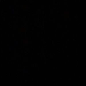 Meet your Posher, Bella